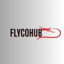 Avatar: flycohub