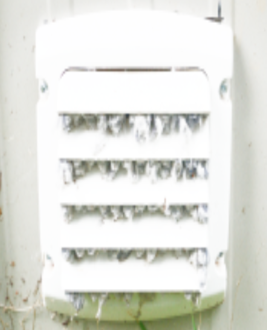 Avatar: Chandler Dryer Vent Cleaning 