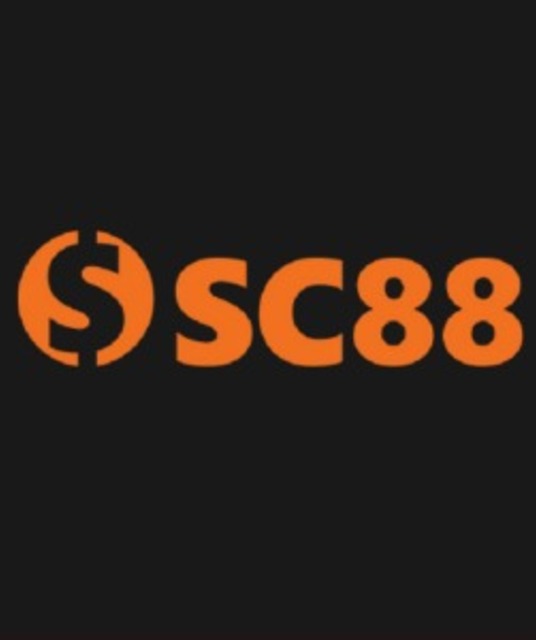 avatar Sc88lv academy