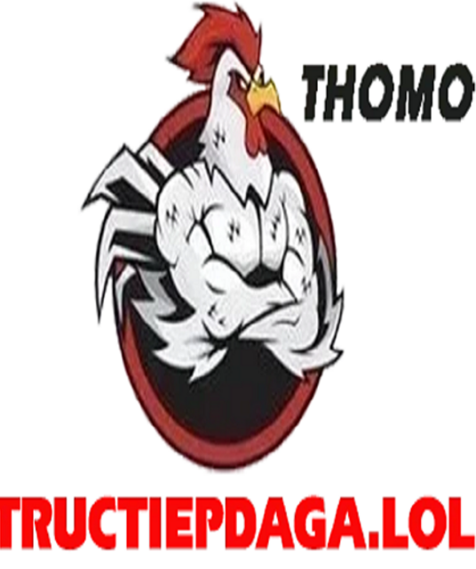 avatar ĐÁ GÀ TRỰC TIẾP