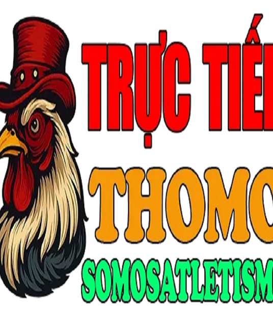 avatar ĐÁ GÀ TRỰC TIẾP THOMO HÔM NAY 