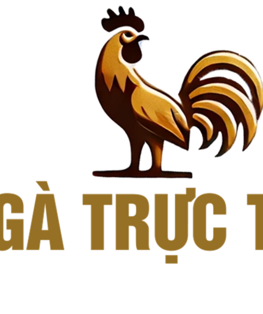 avatar ĐÁ GÀ  TRỰC TIẾP