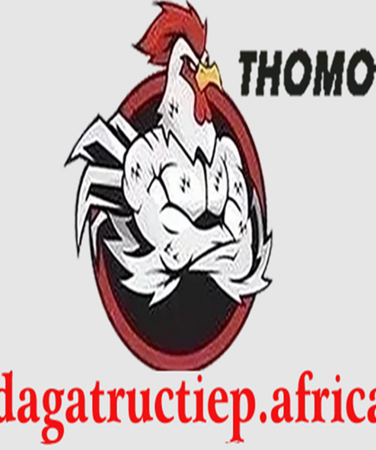 avatar ĐÁ GÀ TRỰC TIẾP AFRICA