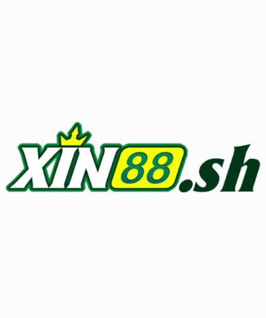 avatar xin88sh1