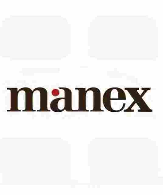 avatar Manex Consulting