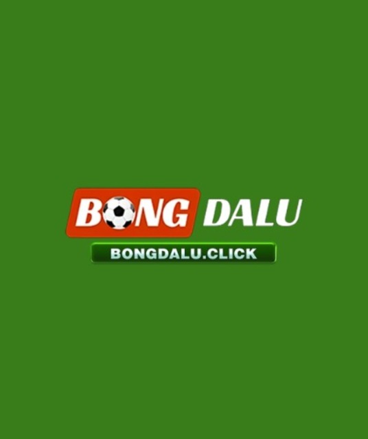 avatar Bongdalu accountant