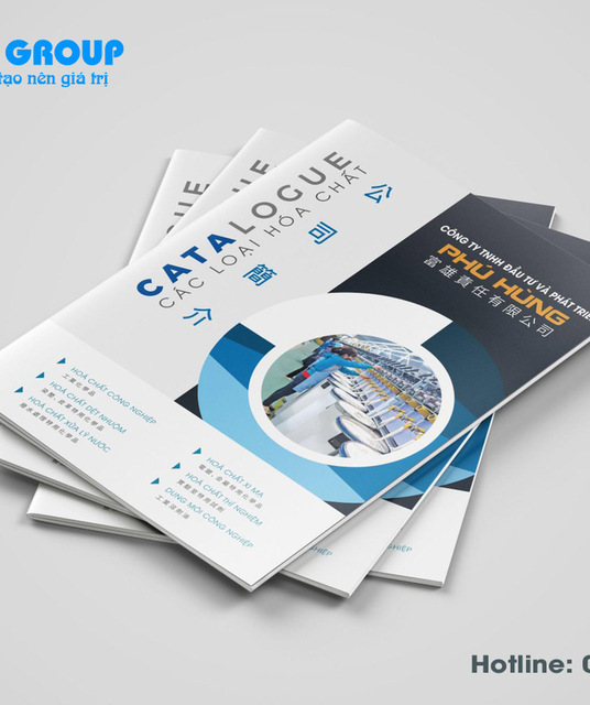 avatar Thiết kế catalogue