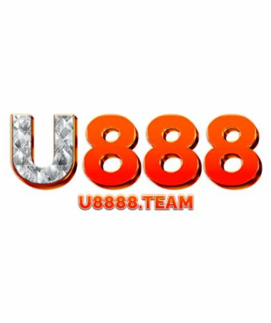avatar U8888 team