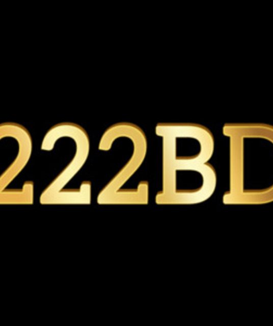 avatar 222 BD