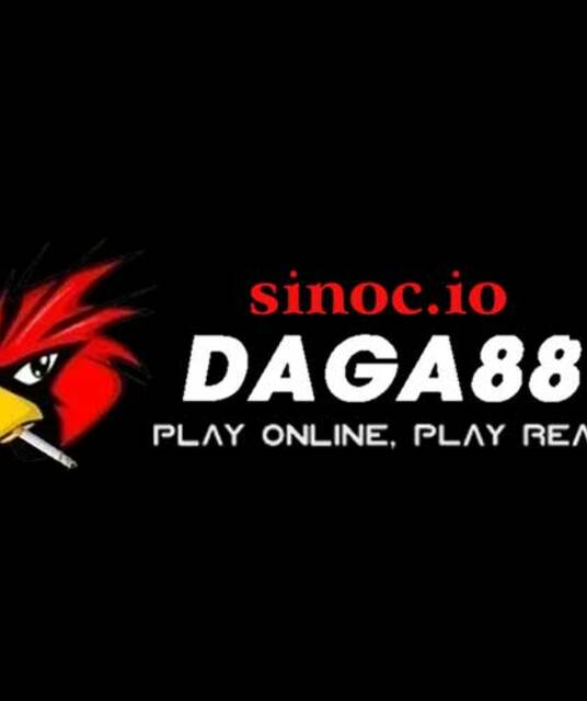 avatar ĐÁ GÀ 88 SINOC