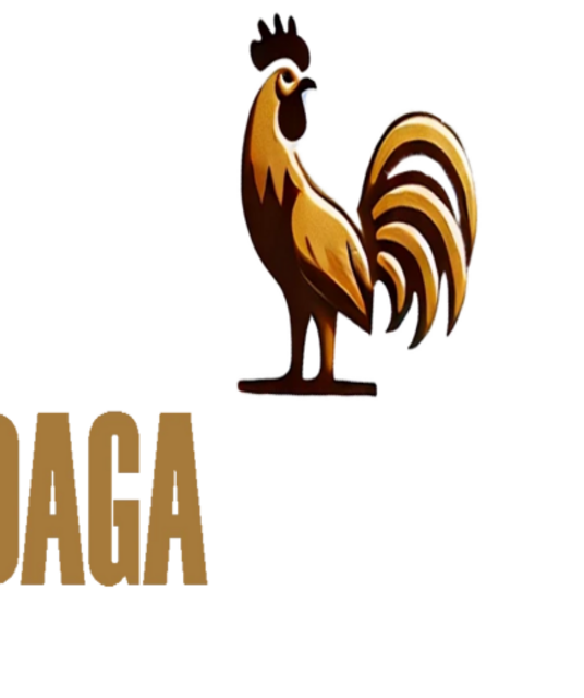 avatar ĐÁ GÀ TRỰC TIẾP