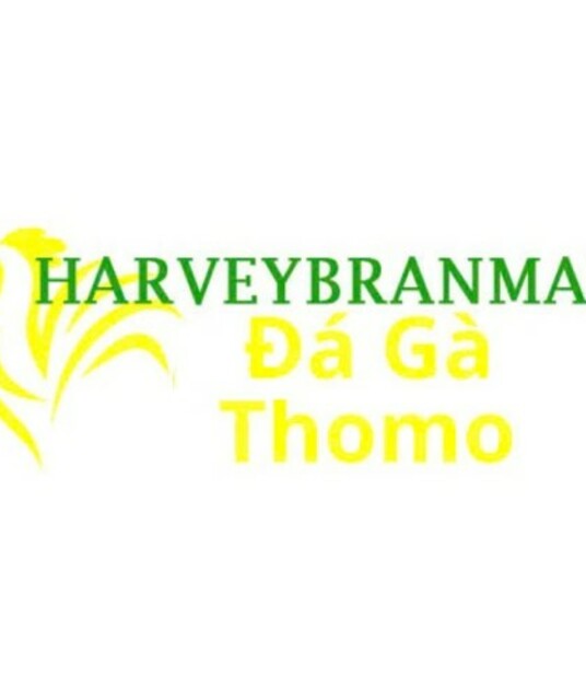 avatar Đá Gà Trực Tiếp Thomo