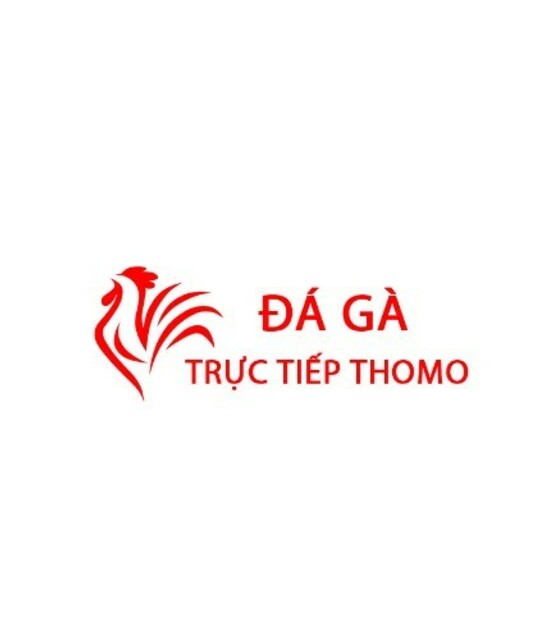 avatar Đá Gà Trực Tiếp Thomo Hôm Nay