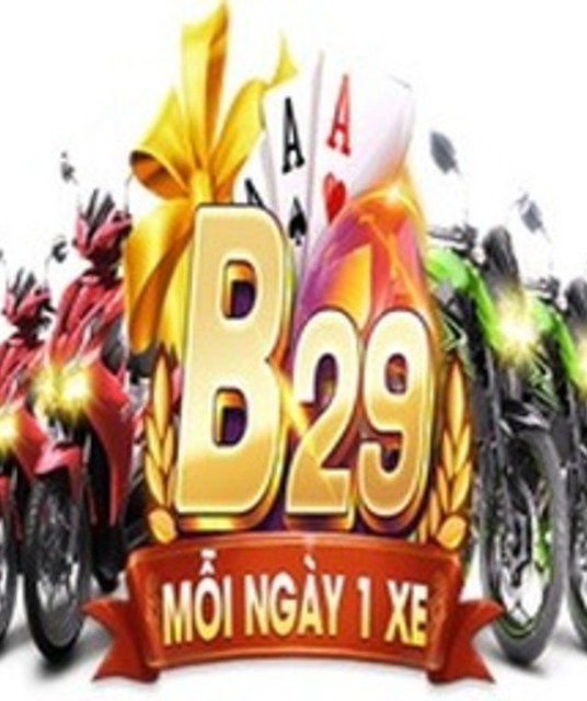avatar b29