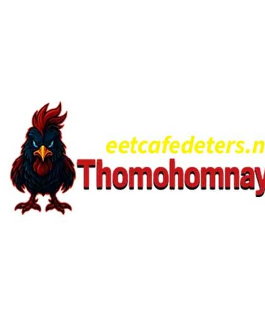 avatar THOMOHOMNAY