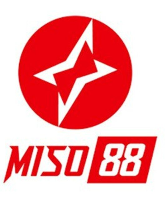 avatar Miso88