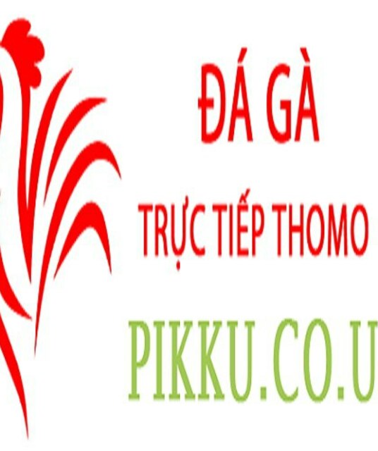 avatar Đá Gà Trực Tiếp Thomo