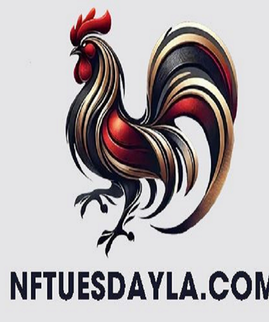 avatar ĐÁ GÀ TRỰC TIẾP THOMO RUN