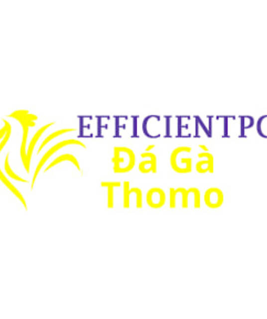 avatar Đá Gà Trực Tiếp Thomo