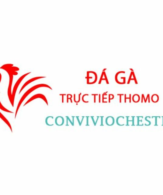 avatar Đá Gà Trực Tiếp Thomo