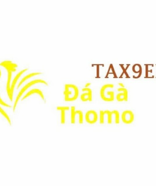 avatar Đá Gà Trực Tiếp Thomo