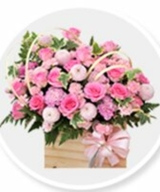 avatar Shop Hoa Tươi Long An