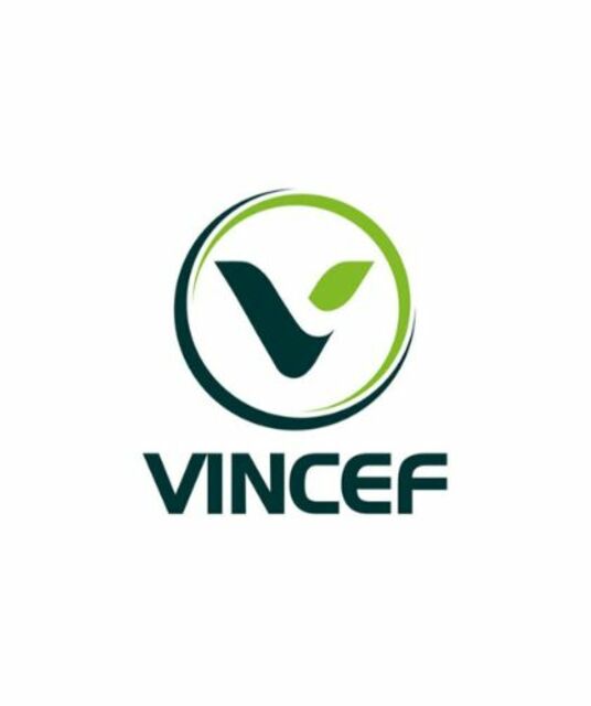 avatar CÔNG TY TNHH VINCEF VN