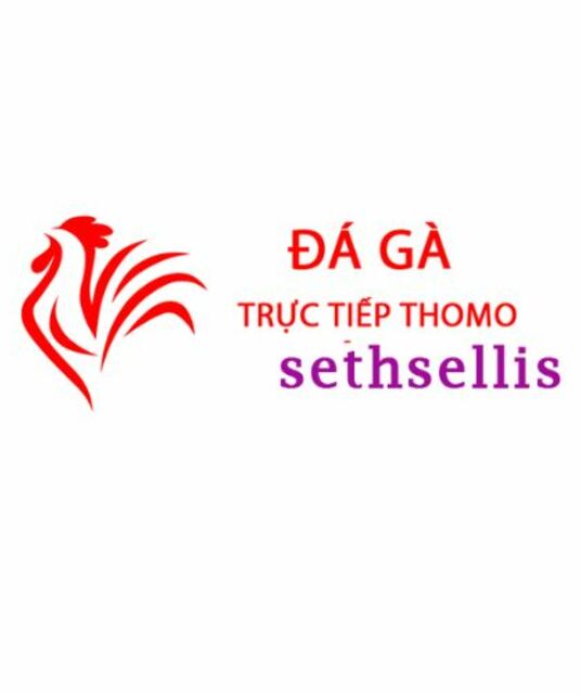 avatar Đá Gà Trực Tiếp Thomo Hôm Nay