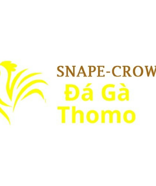 avatar Đá Gà Trực Tiếp Thomo