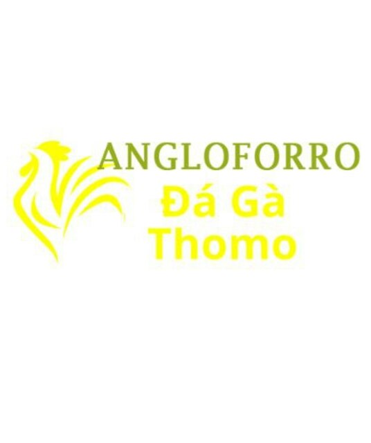 avatar Đá Gà Trực Tiếp Thomo