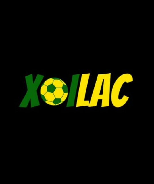 avatar savesalla.com phát tán mã độc BOTNET