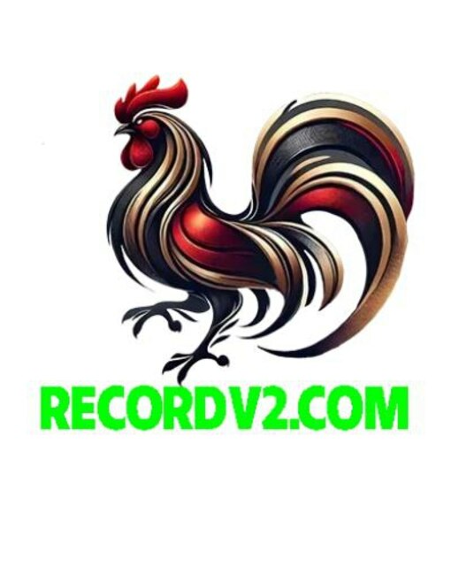 avatar Đá gà trực tiếp Thomo RUN