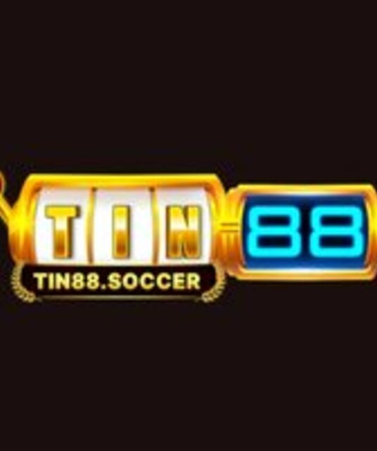 avatar Tin88 Nhà cái cá cược