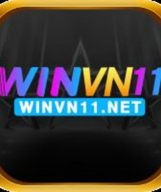 avatar winvn11net