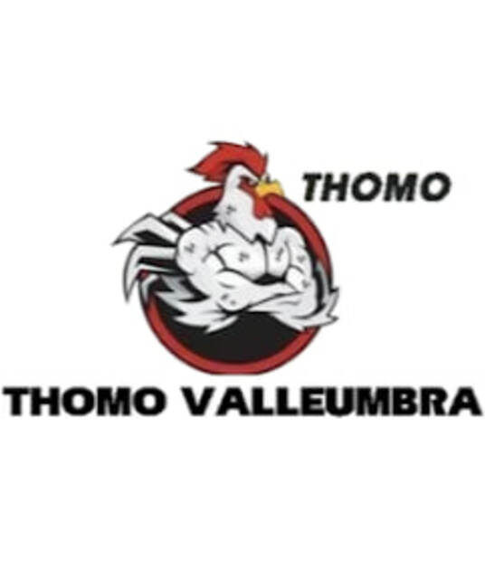 avatar TRỰC TIẾP ĐÁ GÀ THOMO HÔM NAY