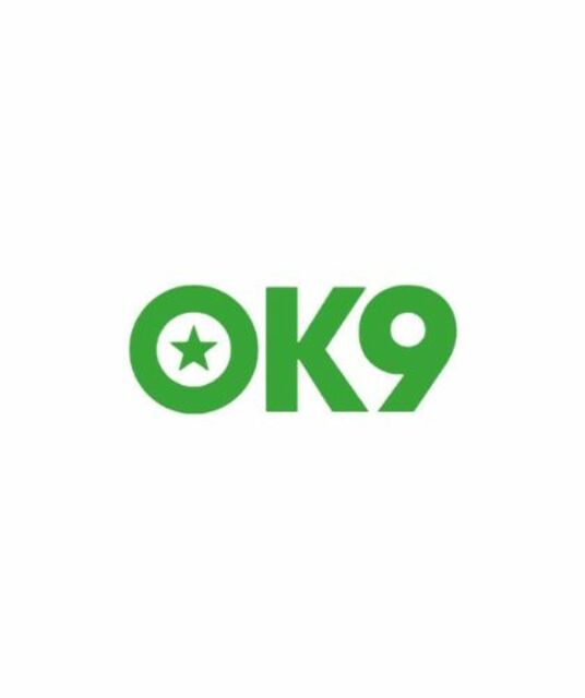 avatar OK9 ⭐️ OK9.COM Link Đăng Nhập Trang Chủ Nhà Cái Thể Thao