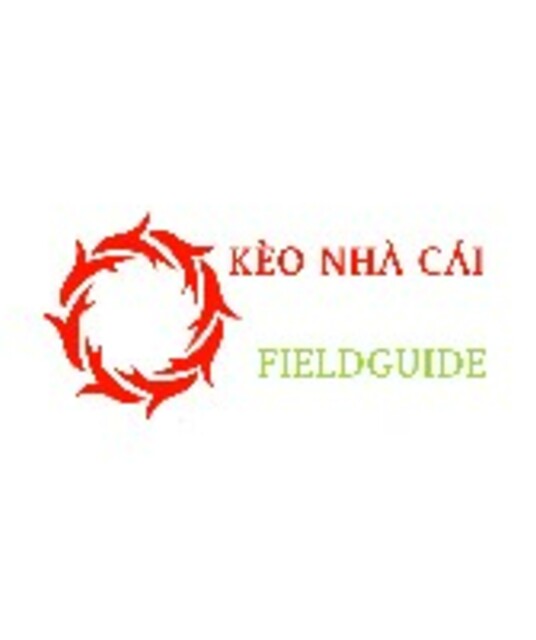 avatar  Kèo Nhà Cái