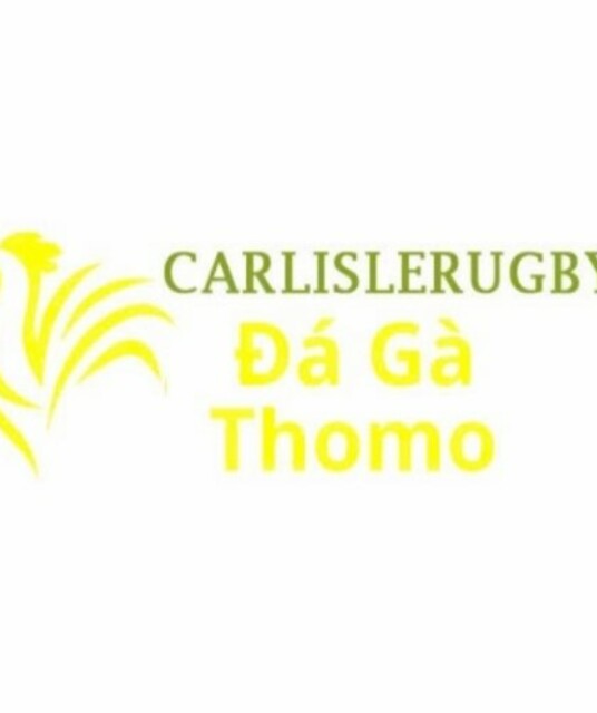 avatar Đá Gà Trực Tiếp Thomo