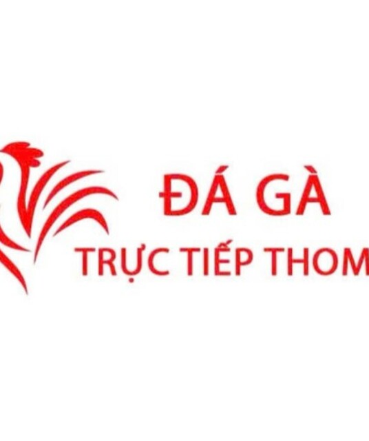 avatar Đá Gà Trực Tiếp Thomo Hôm Nay