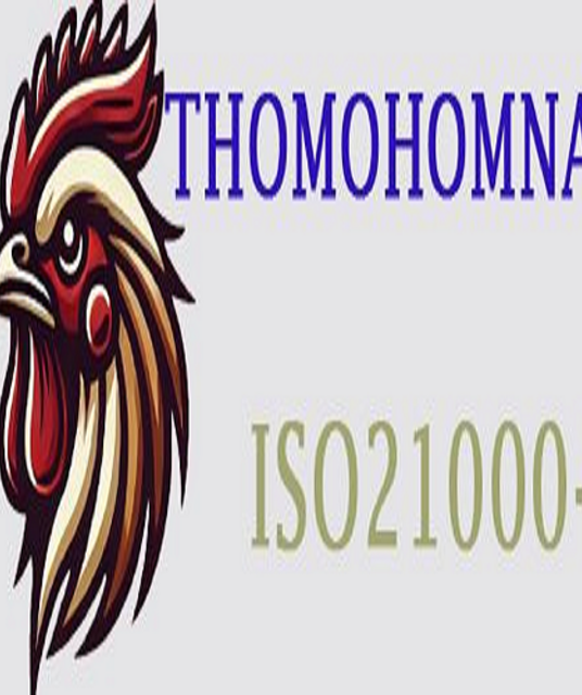 avatar Thomo Hôm Nay