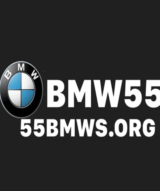 avatar Bookmaker 55BMW