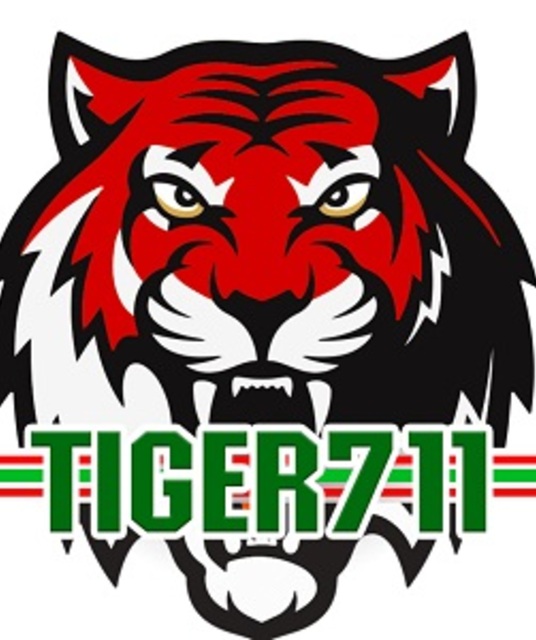 avatar tiger711