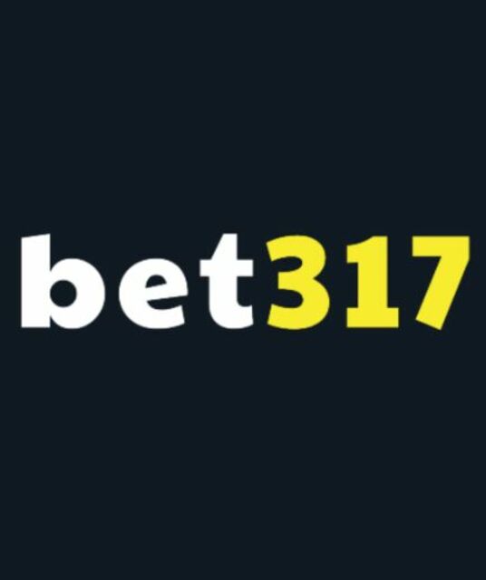 avatar Plataforma Bet317