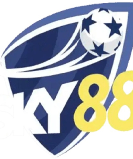 avatar Nhà cái SKY88