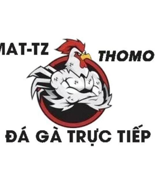 avatar XEM ĐÁ GÀ TRỰC TIẾP