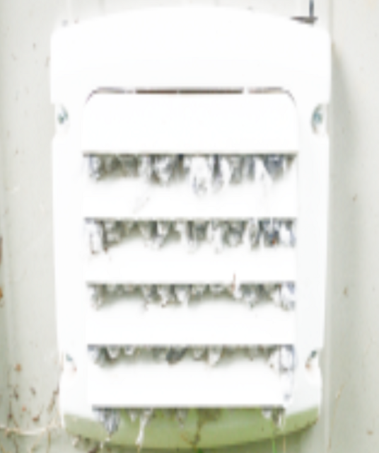 avatar Chandler Dryer Vent Cleaning 