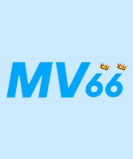 avatar MV66Pro Com
