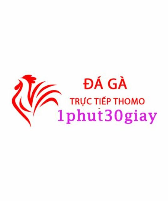 avatar Đá Gà Trực Tiếp Thomo Hôm Nay
