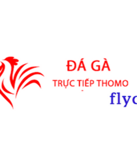 avatar Đá Gà Trực Tiếp Thomo Hôm Nay