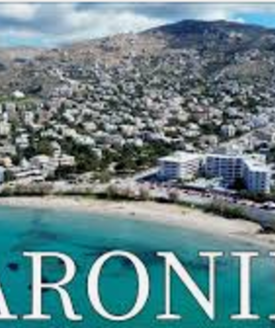 avatar Société SARONI DAVID